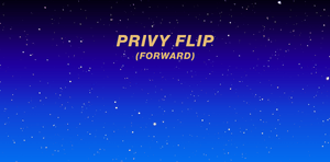 Trick 2: Privy Flip